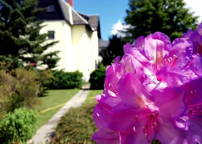 Отель Ferienhotel Augustusburg 3*